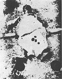 Останки Елизаветы Федоровны, поднятые из шахты. Фото из книги Н.А. Соколова «Убийство Царской Семьи»