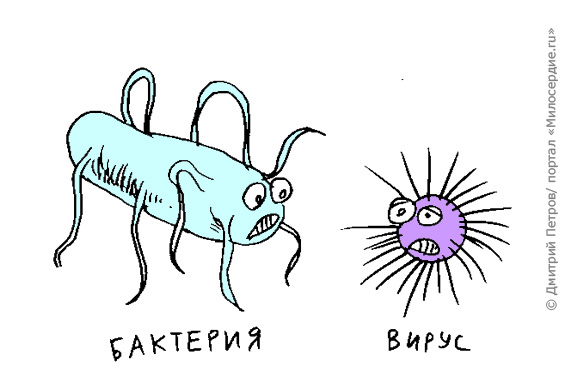 Что сейчас ходит за опасный вирус Что сейчас ходит за опасный вирус