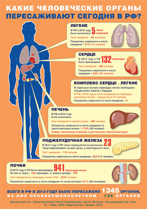 https://www.miloserdie.ru/pic/trans.jpg?x41640