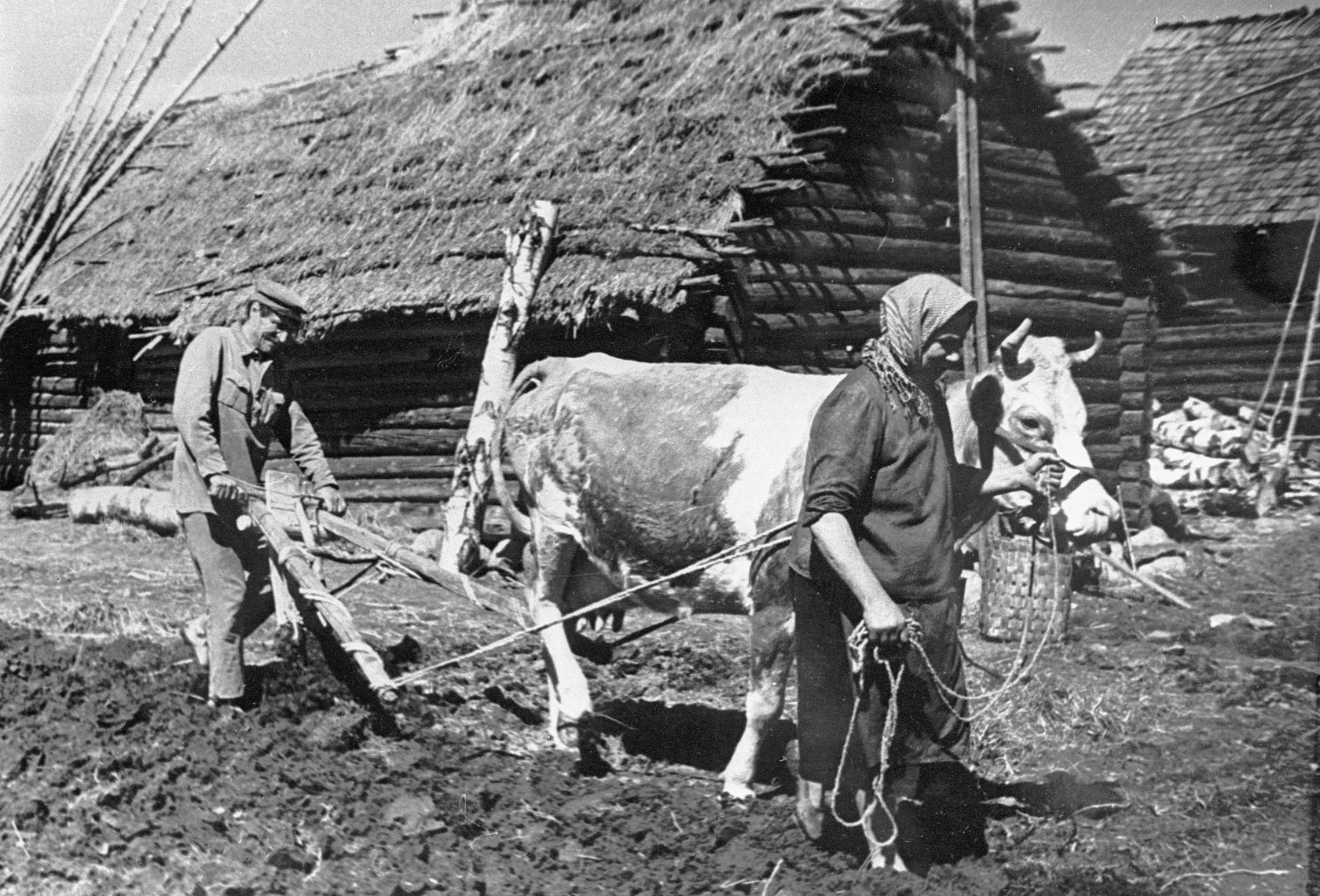 Сельское хозяйство СССР В годы Великой Отечественной войны