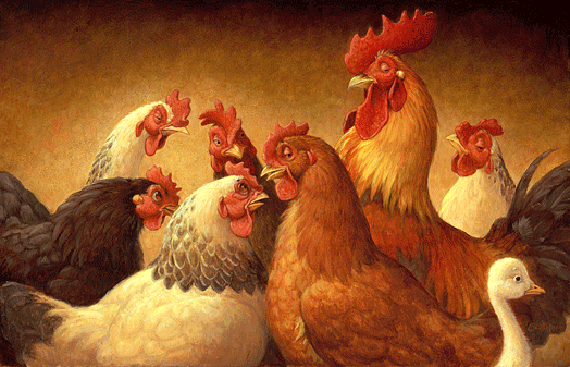 chickens