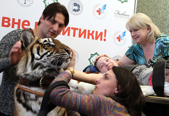 tigr08