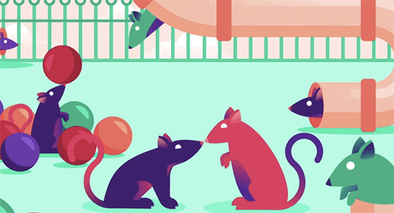 RATPARK-1446151993