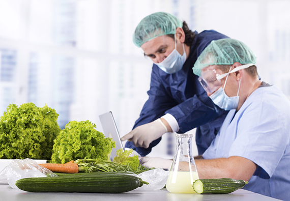 gmo-tampering-with-food-safety (1)
