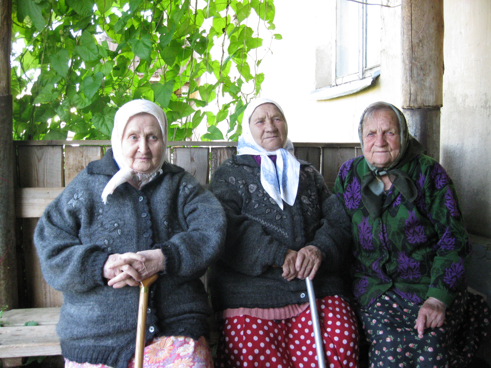 пенсионерки проститутки фото пенсионерки проститутки фото