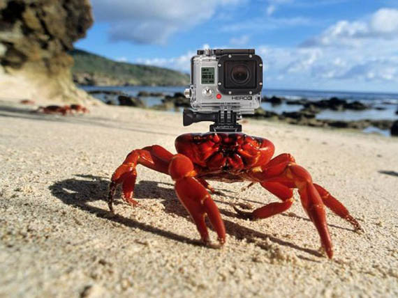 crabe-c3a9quipc3a9-gopro