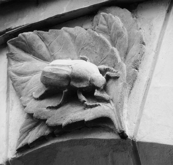 may_bug_as_bas_relief_on_karl_may_school