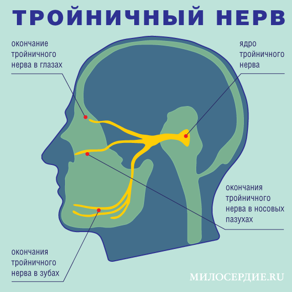 Почему голова начинает болеть при заболевании?