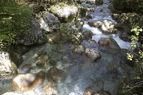 francija monastyr antognija velikogo 03 православный монастырь во франции