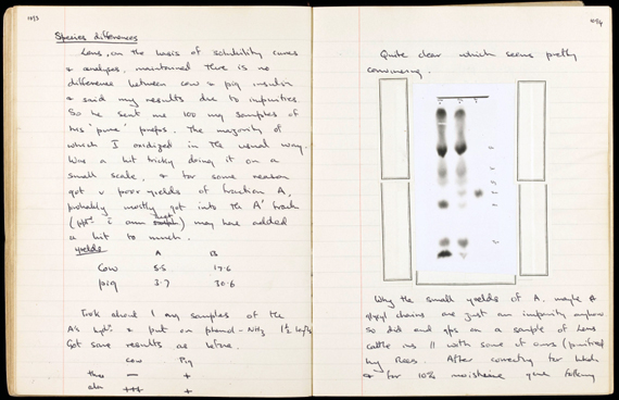 sanger-insulin-1021.jpg?x41640