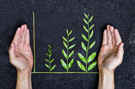 WWF to partner with food firms in sustainability think tank wrbm large - Дело о краудфандинге