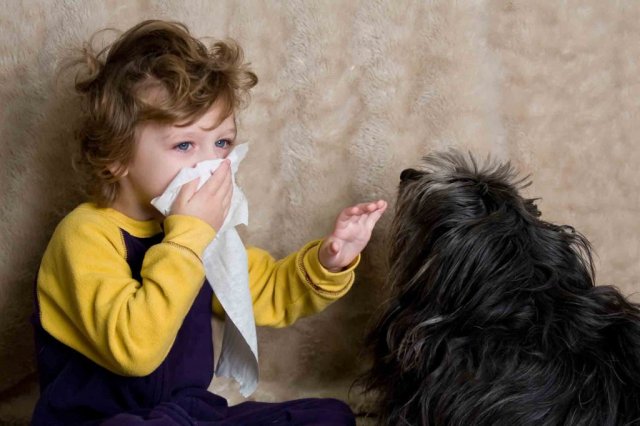 Можно ли вылечить ребенку аллергию на пыльцу