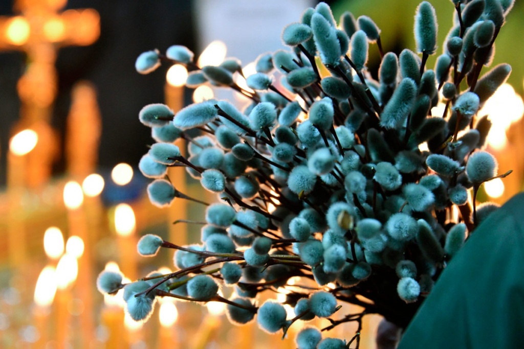 На праздновании Вербного воскресенья (вход Господня в Иерусалим) в соборе Казанской иконы Божьей Матери в Чите