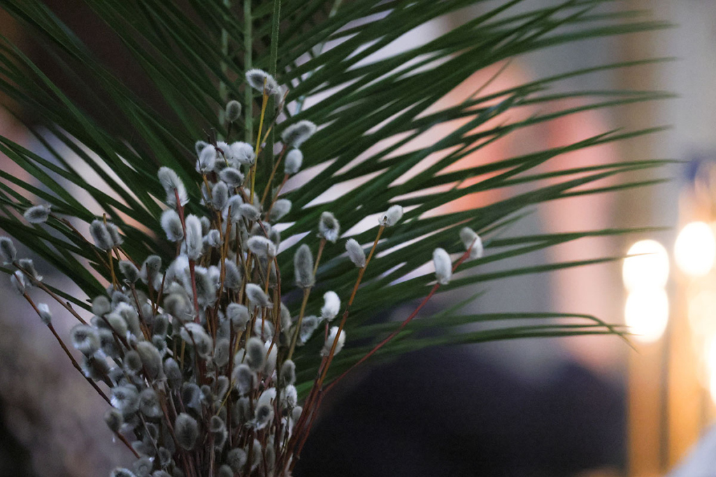 Верба на всенощном бдении в храме Христа Спасителя в канун праздника Входа Господня в Иерусалим