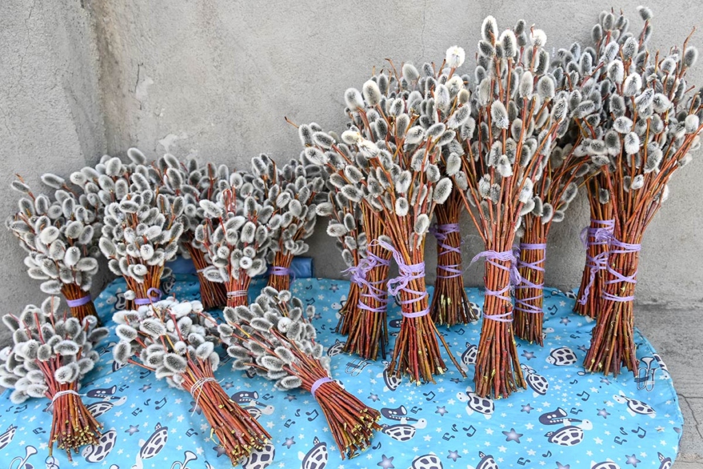 Верба у кафедрального собора иконы Казанской Божьей Матери в день празднования Входа Господня в Иерусалим (Вербного воскресенья)