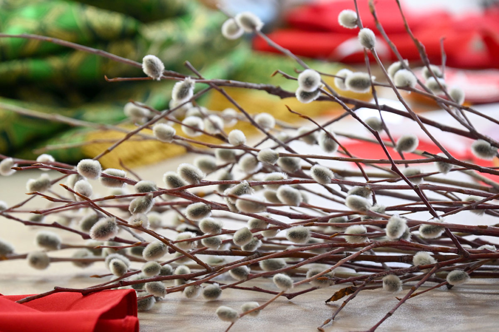  Верба в кафедральном соборе Казанской иконы Божьей Матери в канун Вербного воскресенья