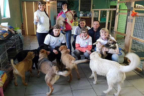 Волонтеры с собаками в приюте 