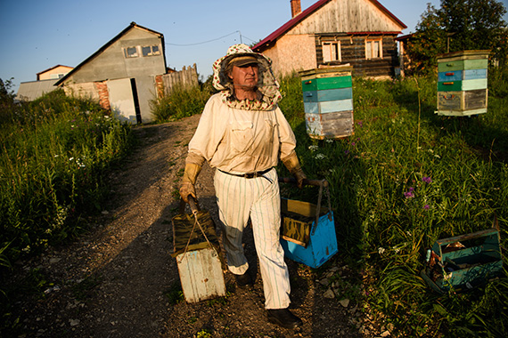 Пчеловод на пасеке