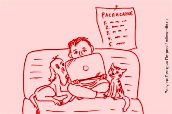 Рисунок Дмитрия Петрова. Мальчик с ноутбуком сидит на диване, рядом кошка и собака. На стене висит расписание