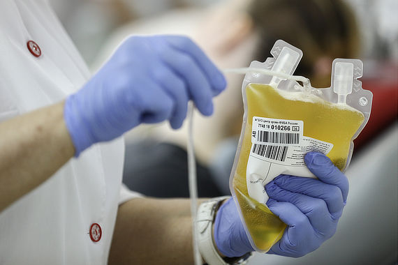 Руки медицинского работника держат пакет с плазмой крови 