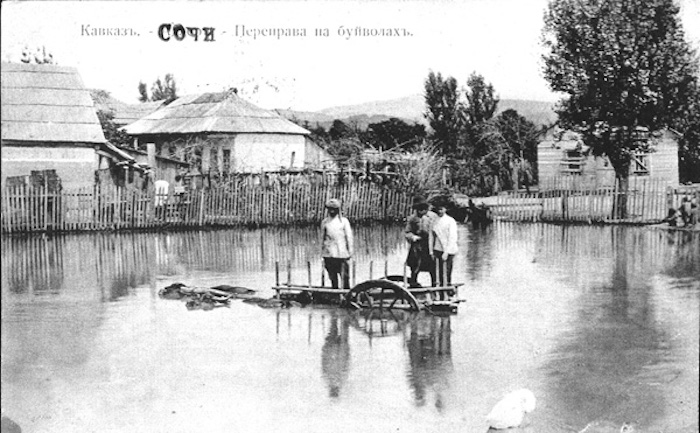 Сочинские водоемы в начале 20 века, переправа на буйволах