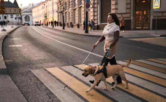 Девушка с собакой-поводырём переходит дорогу по пешеходному переходу