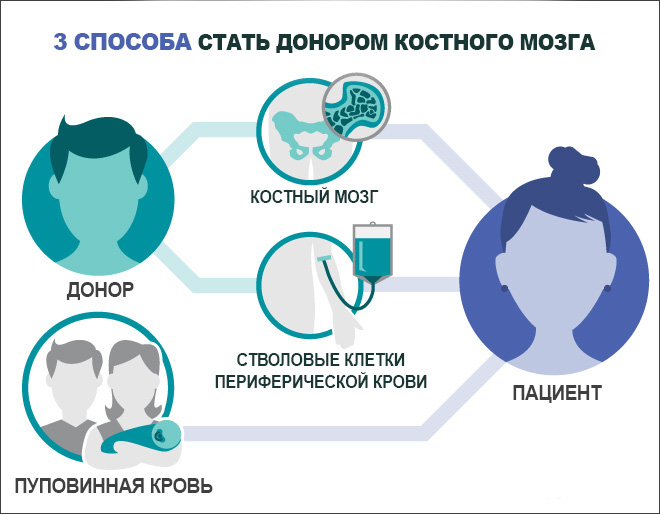 Инфографика: 3 способа стать донором костного мозга