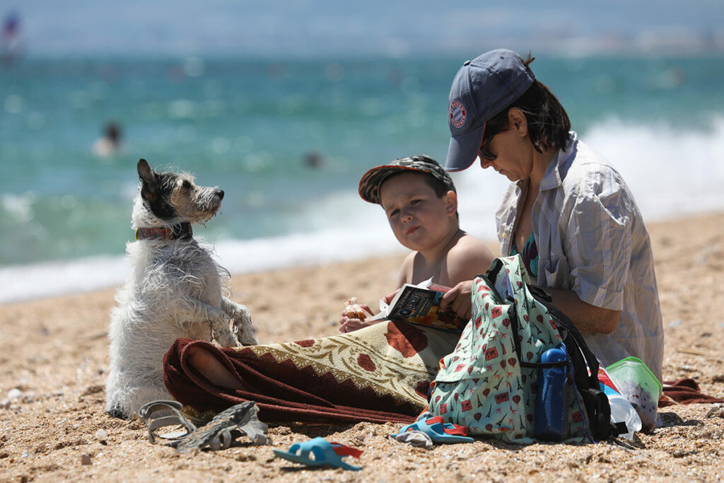 Женщина, ребенок и собака на пляже