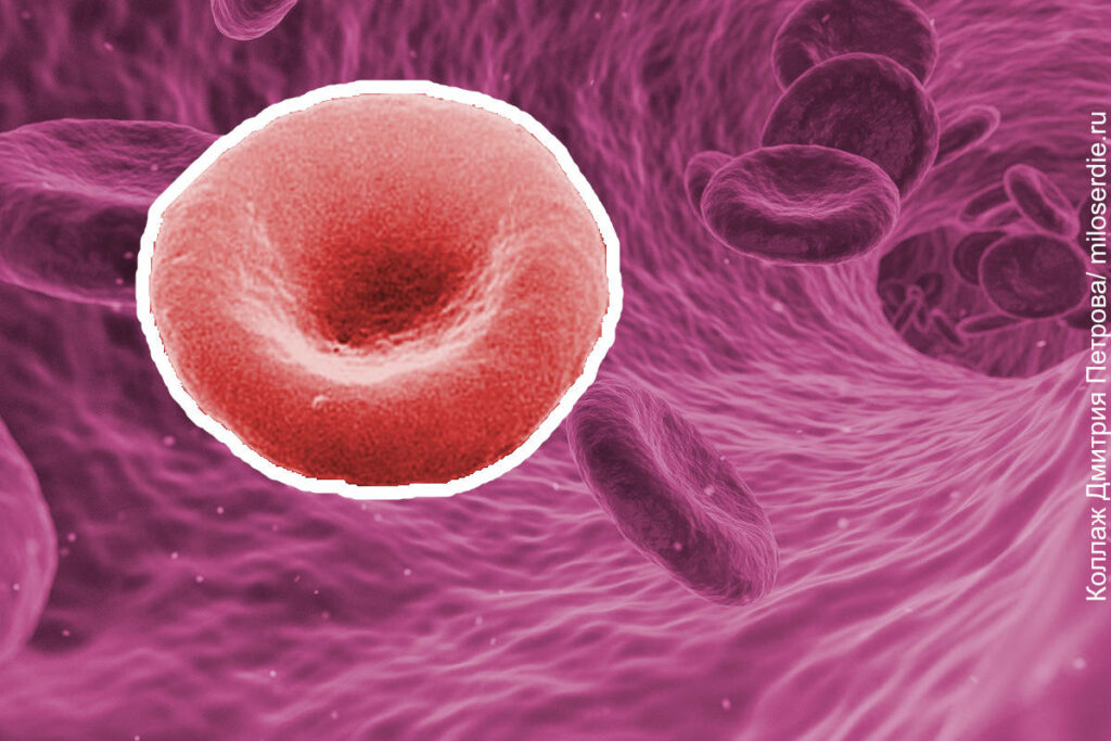 Коллаж. Клетки крови