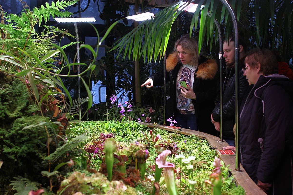 оранжерея. аптекарский огород в москве. аптекарский огород интерьер. аптекарский огород китайский новый год 2024. выставка тропическая зима в аптекарском огороде.