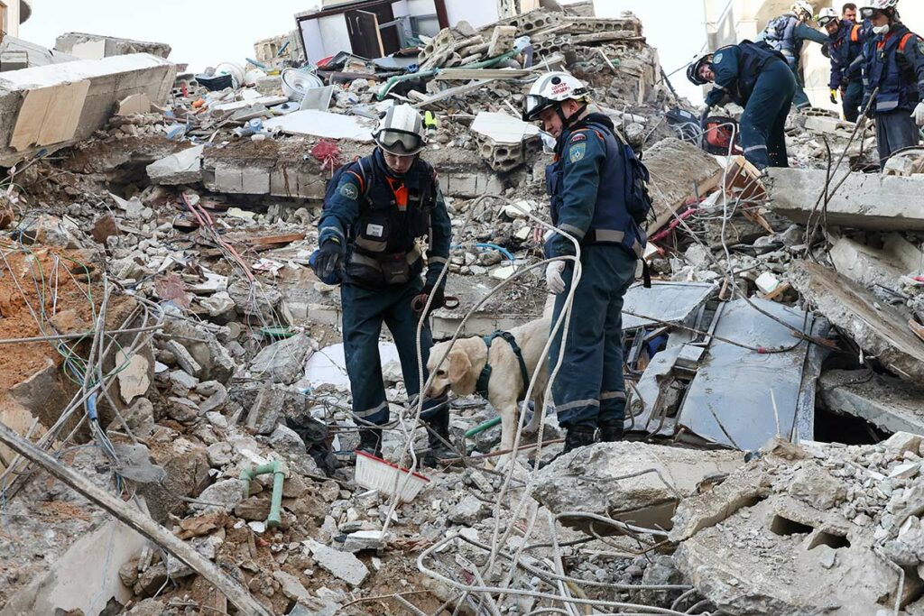 Сотрудники МЧС России с поисковой собакой во время разбора завалов после землетрясения в городе Джебла, Сирия