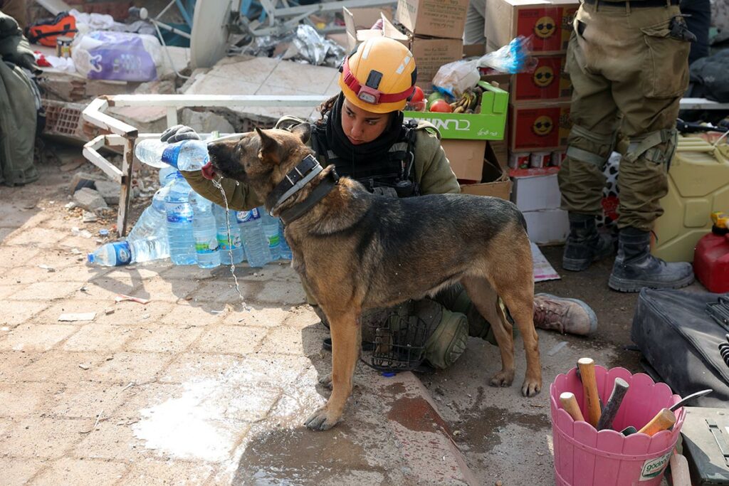 Сотрудник спасательной команды израильской армии поит собаку-спасателя из бутылочки
