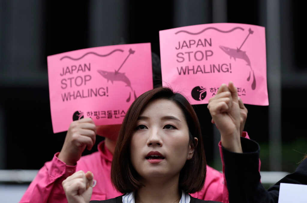 Митинг экологических активистов против китобойной деятельности Японии