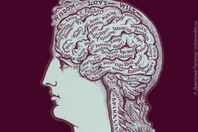 Коллаж Дмитрия Петрова. Голова человека со словами в мозгах