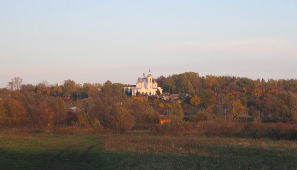 Церковь в честь Успения Пресвятой Богородицы в селе Бортсурманы