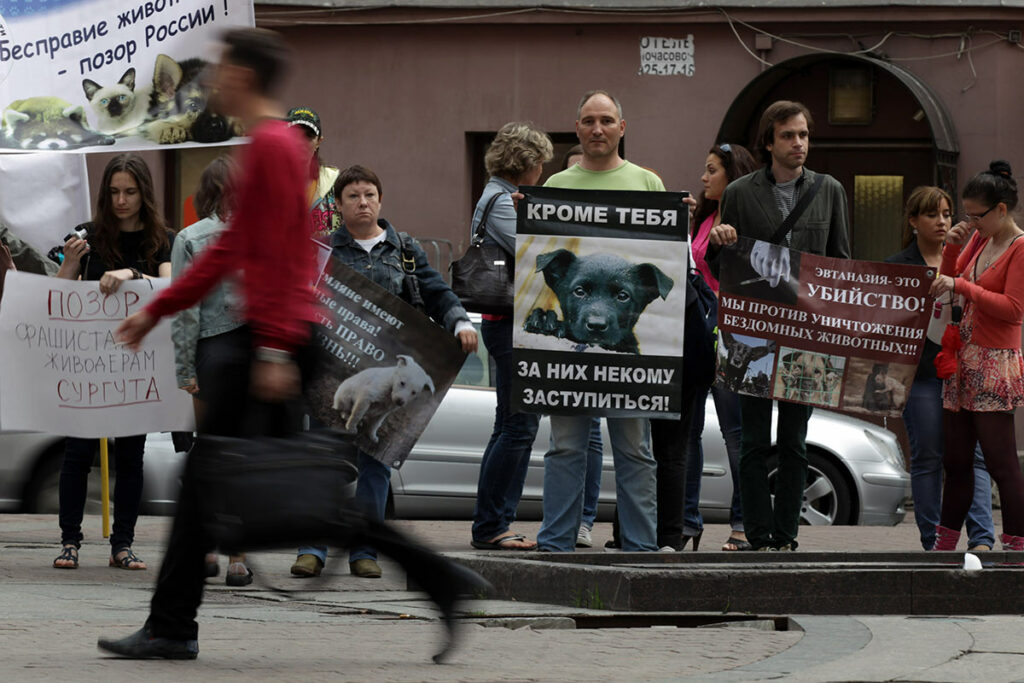 Активисты движения по защите животных во время проведения акции «Россия без жестокости!» в Санкт-Петербурге