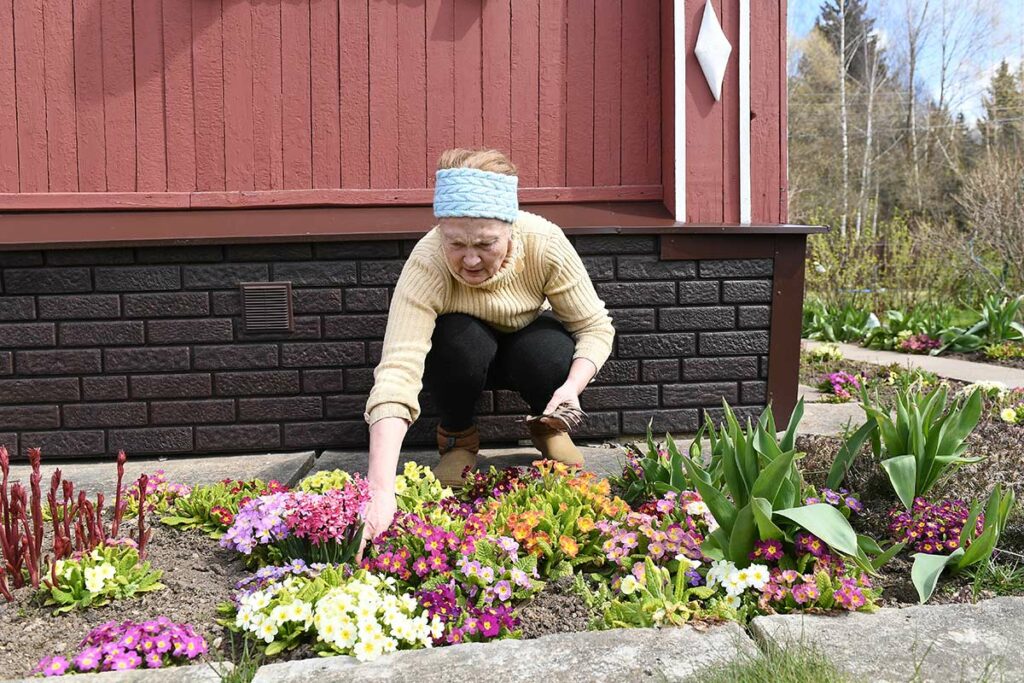 Женщина пропалывает цветы на садовом участке