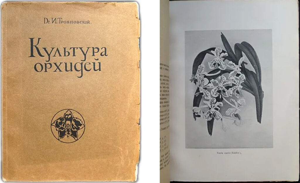 Разворот книги «Культура орхидей. Руководство для любителей с 36 рисунками». 1913 г.