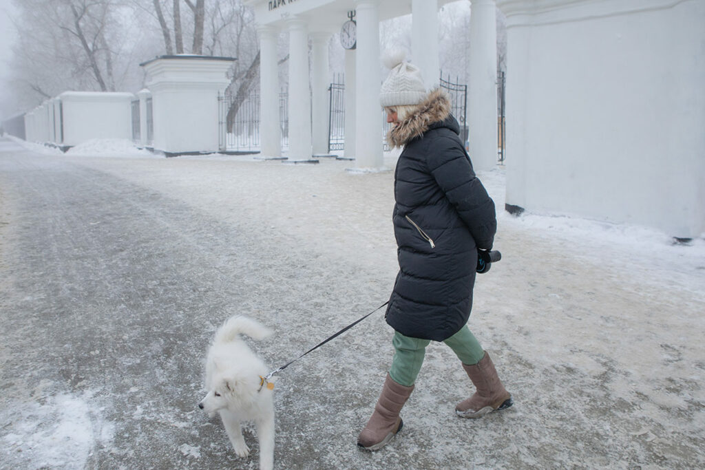 Екатерина на морозной улице с собакой на поводке