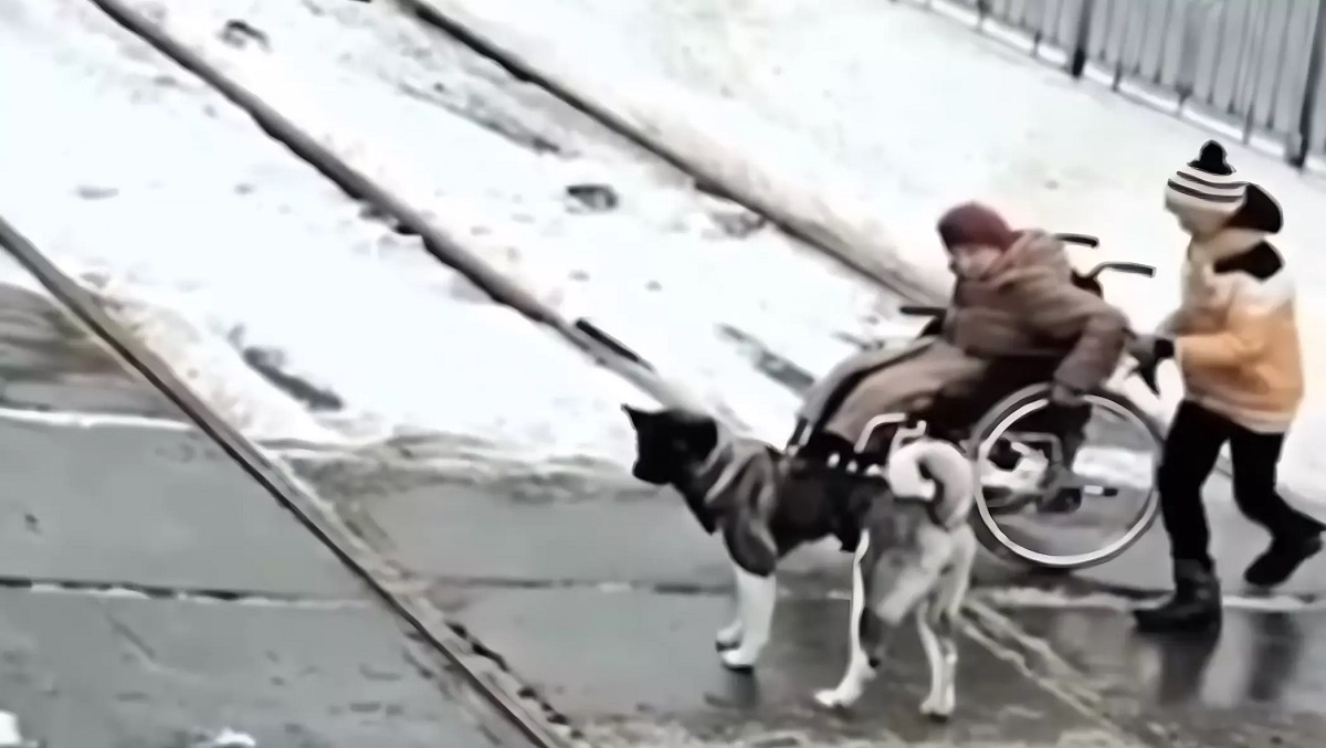 Единственный в мире малыш. Единственный в мире малыш. Кто единственный в мире малыш. Котопес порода. Единственный в мире малыш.