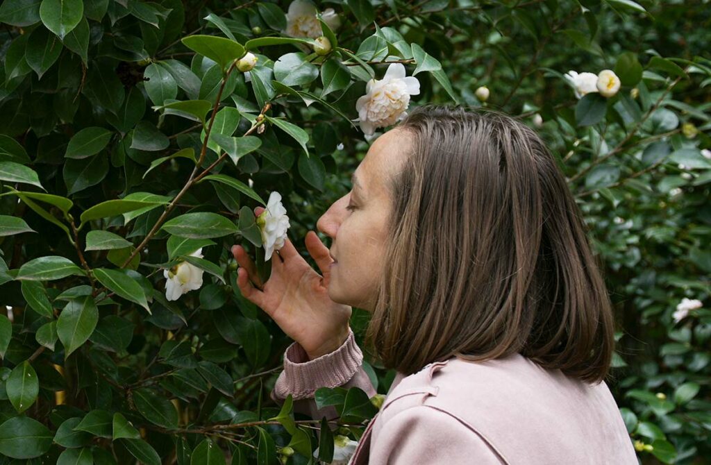Женщина нюхает цветок белой Камелии (Caméllia) в парке "Южные культуры" в Сочи