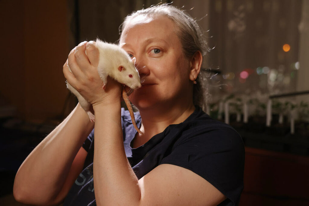 Волонтер Ольга держит белую крысу в руках