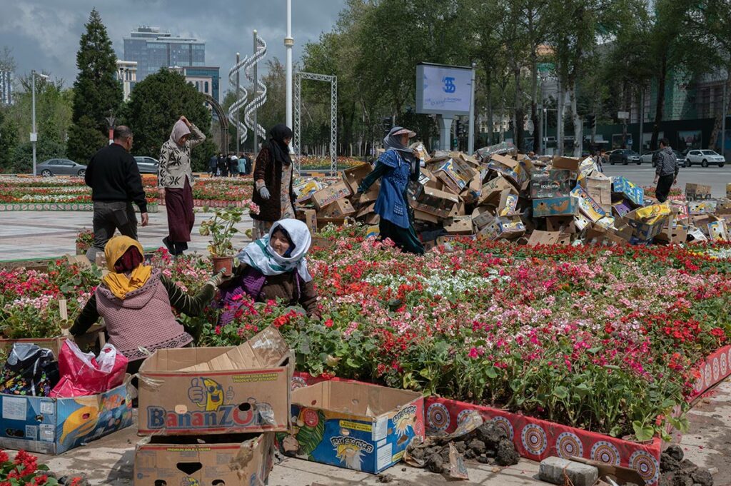 Улица Душанбе. Цветы и женщины, убирающие коробки