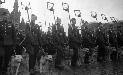 Парад Победы на Красной площади в Москве 24 июня 1945 года в честь победы СССР над Германией. Саперы с собаками минно-розыскной службы проходят по Красной площади во время Парада Победы.