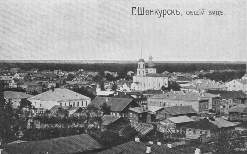 Дореволюционный Шенкурск. Фото: wikipedia