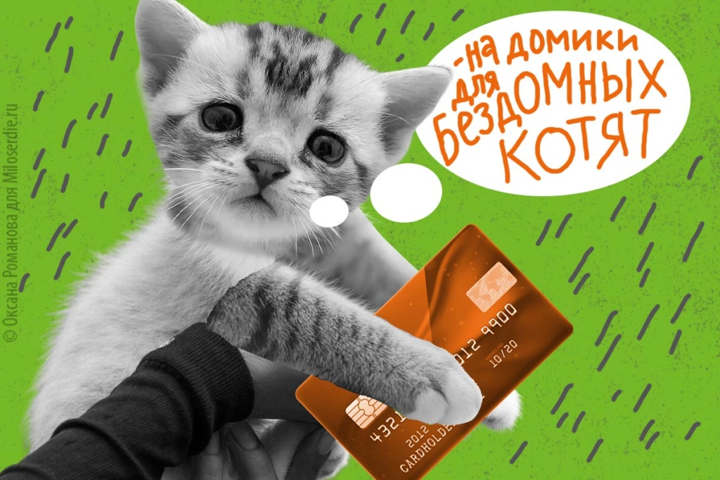 Коллаж. Зоомошенники