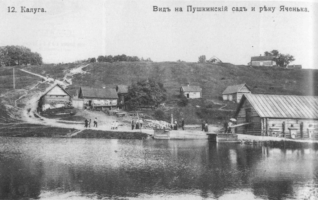 Виды Калуги