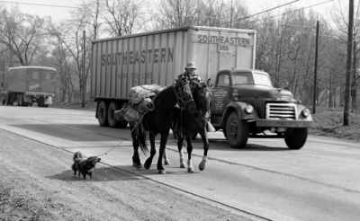 Энни Уилкинс верхом на лошади едет вдоль шоссе