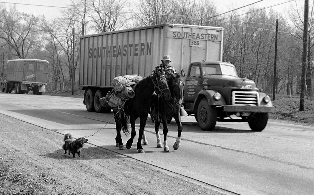 Энни Уилкинс верхом на лошади едет вдоль шоссе