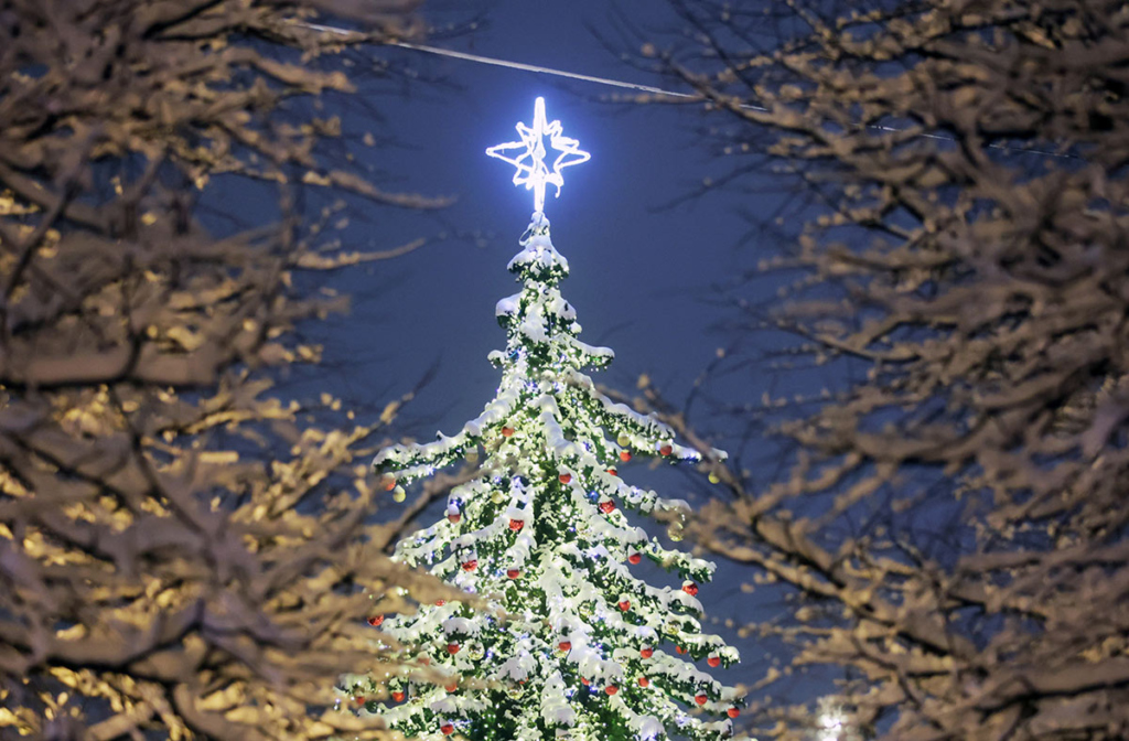 Новогодняя елка На Цветном бульваре в Москве.